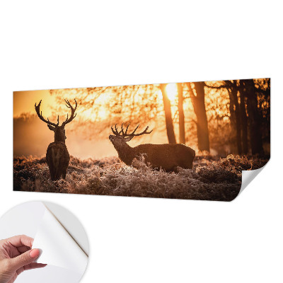 Nowoczesna fototapeta do salonu z motywem jeleni o poranku