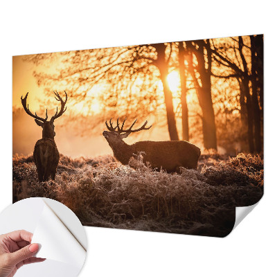 Nowoczesna fototapeta do salonu Nowoczesna fototapeta do salonu