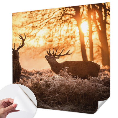 Nowoczesna fototapeta do salonu Nowoczesna fototapeta do salonu