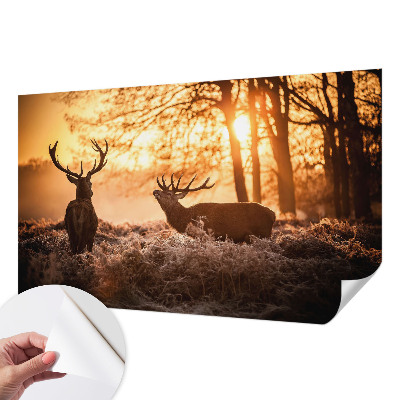 Nowoczesna fototapeta do salonu Nowoczesna fototapeta do salonu