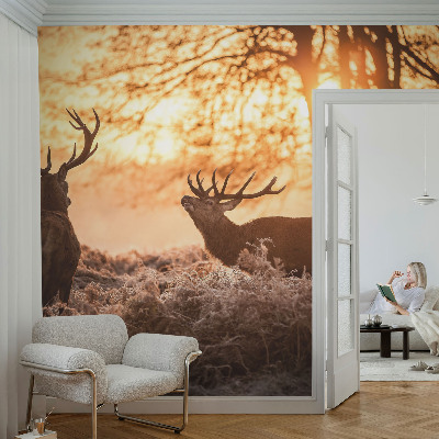 Nowoczesna fototapeta do salonu z motywem jeleni o poranku