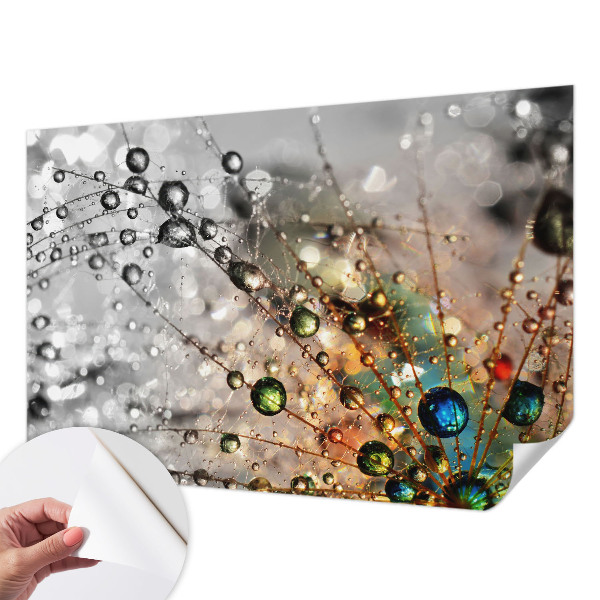 Dekoracyjna fototapeta na ścianę Dekoracyjna fototapeta na ścianę