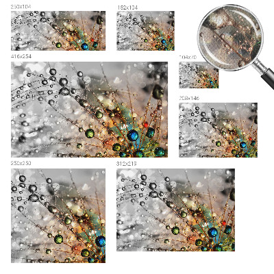 Dekoracyjna fototapeta na ścianę Dekoracyjna fototapeta na ścianę