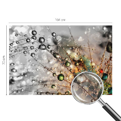 Dekoracyjna fototapeta na ścianę Dekoracyjna fototapeta na ścianę