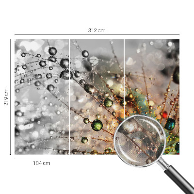 Dekoracyjna fototapeta na ścianę Dekoracyjna fototapeta na ścianę