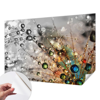 Dekoracyjna fototapeta na ścianę Dekoracyjna fototapeta na ścianę