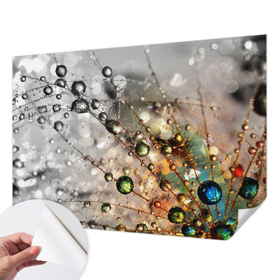 Dekoracyjna fototapeta na ścianę Dekoracyjna fototapeta na ścianę