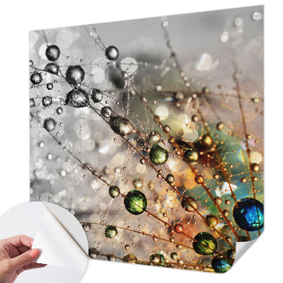 Dekoracyjna fototapeta na ścianę Dekoracyjna fototapeta na ścianę