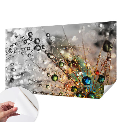 Dekoracyjna fototapeta na ścianę Dekoracyjna fototapeta na ścianę