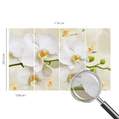 Fototapeta samoprzylepna z nadrukiem Fototapeta samoprzylepna z nadrukiem