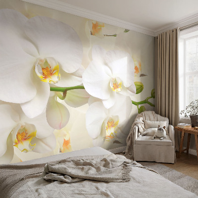 Fototapeta samoprzylepna z nadrukiem Fototapeta samoprzylepna z nadrukiem