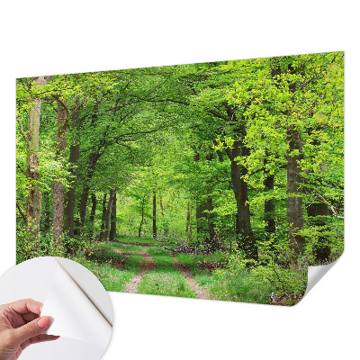 Dekoracyjna fototapeta na ścianę z motywem leśnej ścieżki