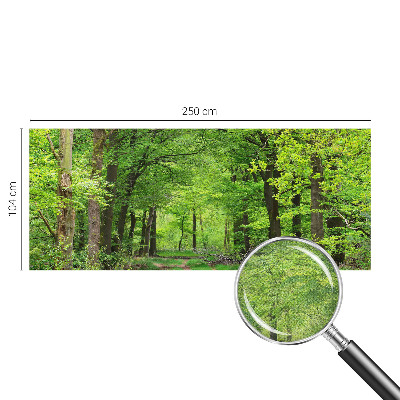 Dekoracyjna fototapeta na ścianę z motywem leśnej ścieżki