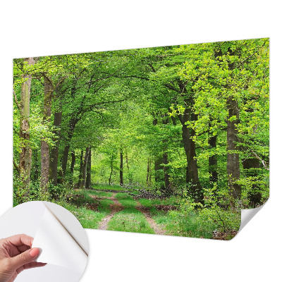 Dekoracyjna fototapeta na ścianę z motywem leśnej ścieżki