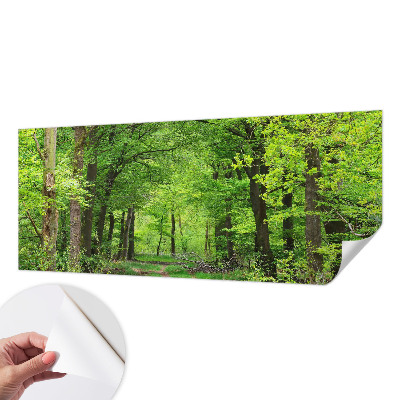 Dekoracyjna fototapeta na ścianę z motywem leśnej ścieżki