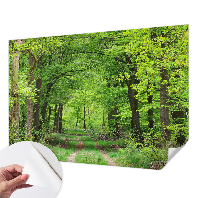 Dekoracyjna fototapeta na ścianę z motywem leśnej ścieżki