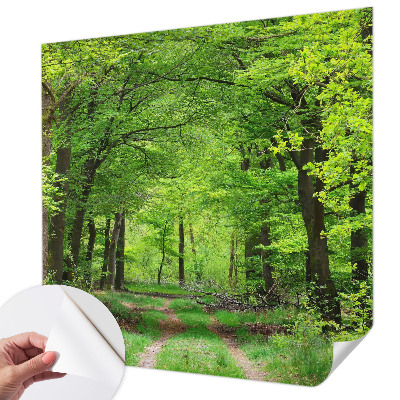 Dekoracyjna fototapeta na ścianę z motywem leśnej ścieżki