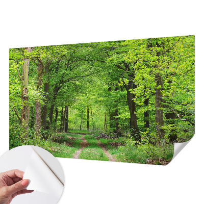 Dekoracyjna fototapeta na ścianę z motywem leśnej ścieżki