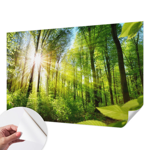 Fototapeta samoprzylepna z nadrukiem z motywem leśnego światła