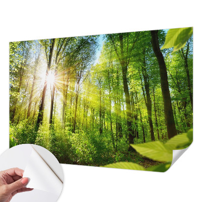 Fototapeta samoprzylepna z nadrukiem z motywem leśnego światła