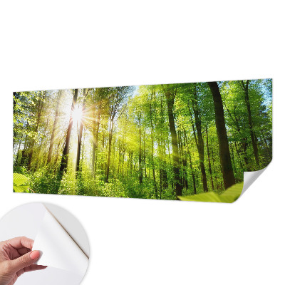 Fototapeta samoprzylepna z nadrukiem z motywem leśnego światła