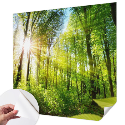 Fototapeta samoprzylepna z nadrukiem z motywem leśnego światła