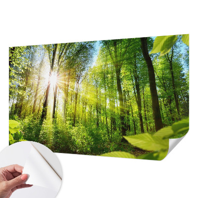 Fototapeta samoprzylepna z nadrukiem z motywem leśnego światła