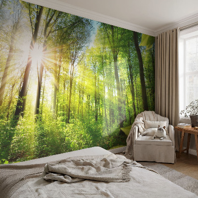 Fototapeta samoprzylepna z nadrukiem z motywem leśnego światła