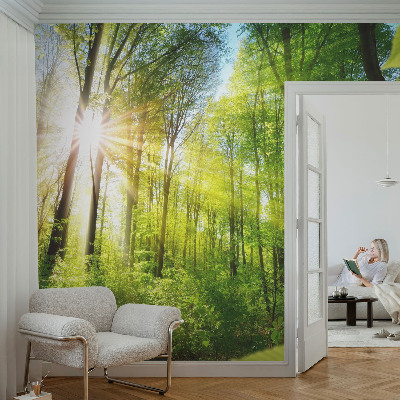 Fototapeta samoprzylepna z nadrukiem z motywem leśnego światła