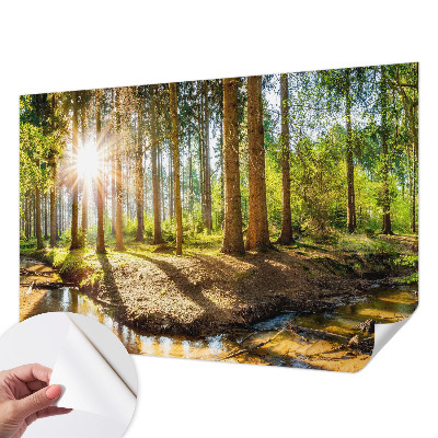 Fototapeta na ścianę z motywem leśnej idylli