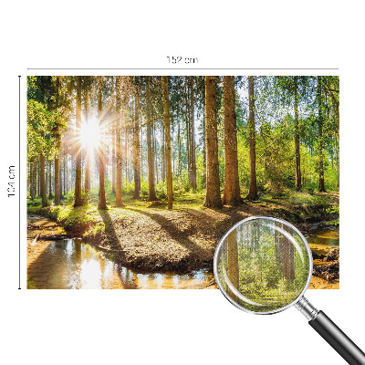 Fototapeta na ścianę z motywem leśnej idylli