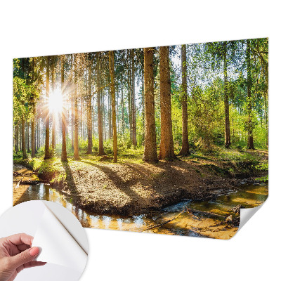 Fototapeta na ścianę z motywem leśnej idylli