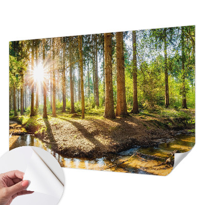 Fototapeta na ścianę z motywem leśnej idylli