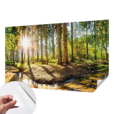 Fototapeta na ścianę z motywem leśnej idylli