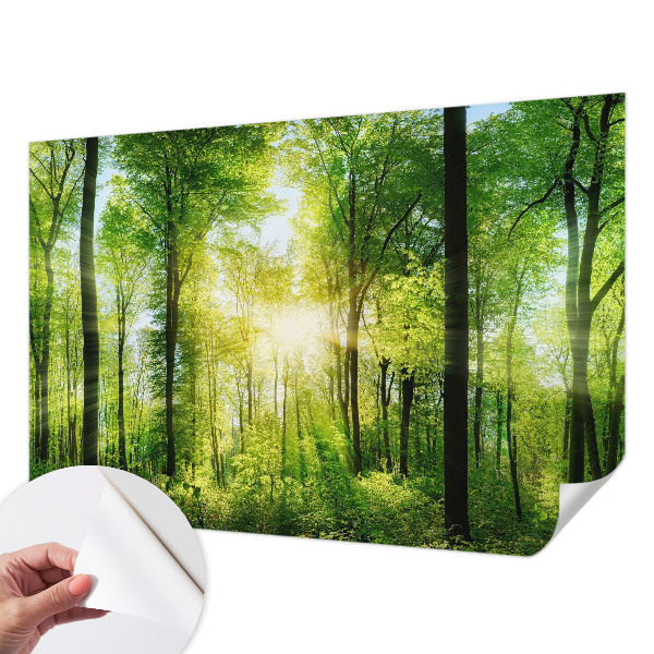 Nowoczesna fototapeta do salonu z motywem leśnej harmonii