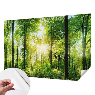 Nowoczesna fototapeta do salonu z motywem leśnej harmonii
