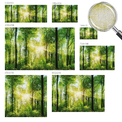 Nowoczesna fototapeta do salonu z motywem leśnej harmonii