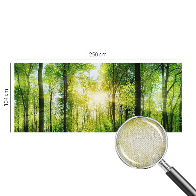 Nowoczesna fototapeta do salonu z motywem leśnej harmonii