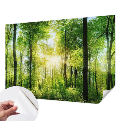 Nowoczesna fototapeta do salonu z motywem leśnej harmonii