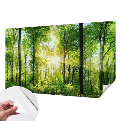 Nowoczesna fototapeta do salonu z motywem leśnej harmonii
