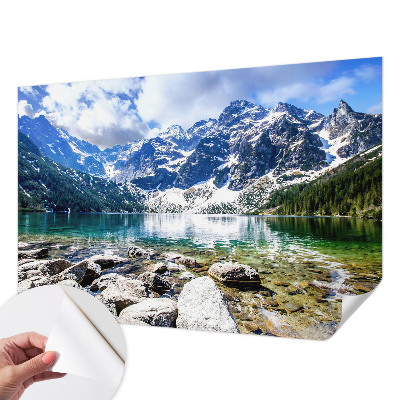 Dekoracyjna fototapeta na ścianę Dekoracyjna fototapeta na ścianę