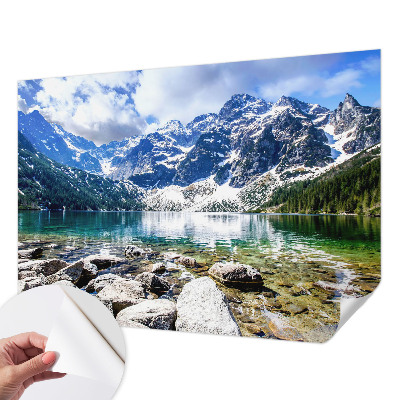 Dekoracyjna fototapeta na ścianę Dekoracyjna fototapeta na ścianę