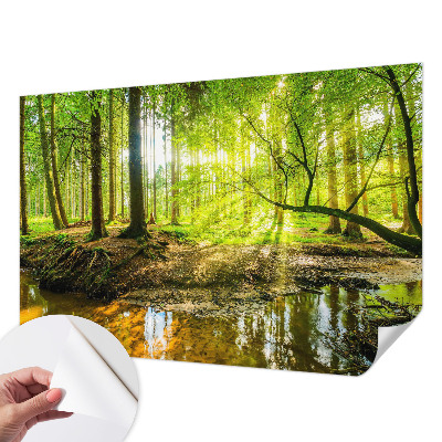 Fototapeta na ścianę z zielonym krajobrazem