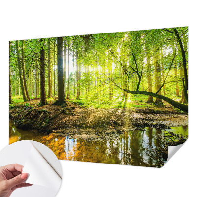 Fototapeta na ścianę z zielonym krajobrazem
