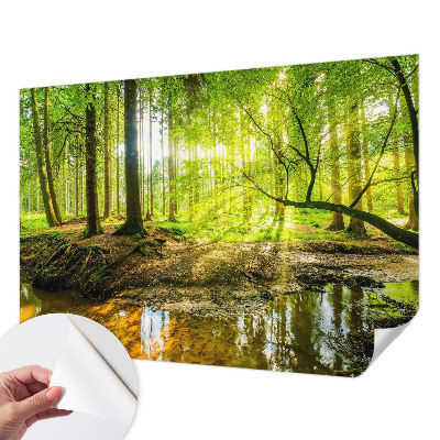 Fototapeta na ścianę z zielonym krajobrazem