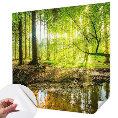 Fototapeta na ścianę z zielonym krajobrazem