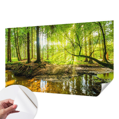 Fototapeta na ścianę z zielonym krajobrazem