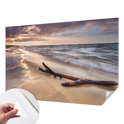 Dekoracyjna fototapeta na ścianę z motywem zachodniej plaży