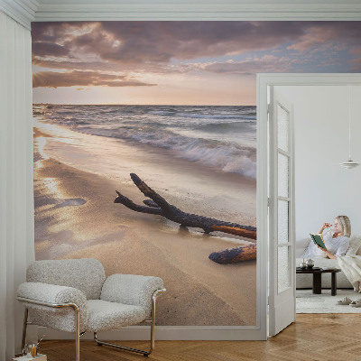 Dekoracyjna fototapeta na ścianę z motywem zachodniej plaży