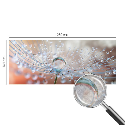 Fototapeta samoprzylepna z nadrukiem z motywem kropli na dmuchawcu